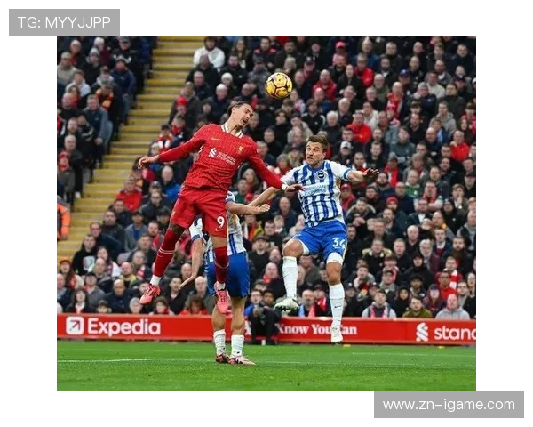 布莱顿与利物浦精彩对决视频回顾及赛后分析分享